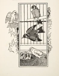 Dobročinný kanár, ze sta anekdot o zvířatech, hospoda. 1924