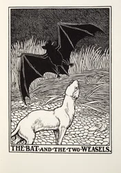 The Bat and the Two Weasels, od Fontaine Fables, hospoda. 1905
