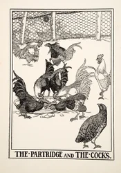 Koroptev a kohouti, ze Sta Ezopových bajek, vydáno 1903