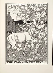 The Stag and the Vine, z Fontaine Fables, hospoda. 1905