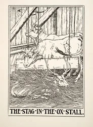The Stag in the Ox Stall, from A Hundred Bajky of Ezop, pub. 1903 (rytina)