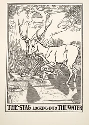 Jelen hledící do vody, ze Sto bajek o Ezopovi, pub. 1903 (rytina)