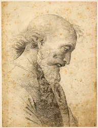 Busta muže, 1500-1503.