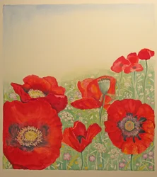 Makové pole
