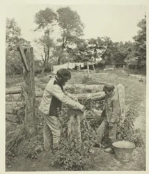 Na farmě Grindstone-A Suffolk