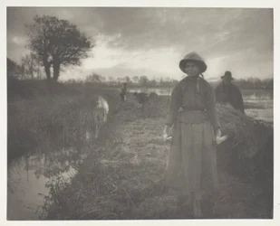 Poling the Marsh Hay