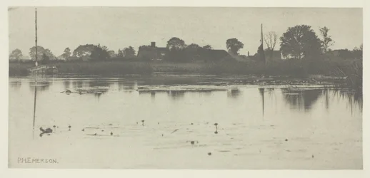 The Fringe of the Mere