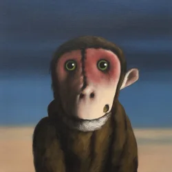 Opice Fergus, 2017