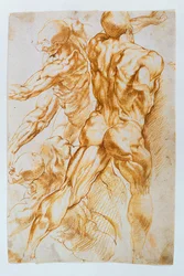 Anatomické studie: akty v boji