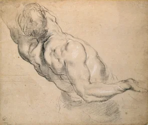 Studie torza nahého muže, 1600-1640