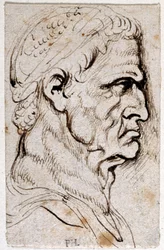 Vespasianus, z deseti kreseb osmi z prvních dvanácti Caesarů, po medailích Giovanniho da Cavina (pero a inkoust na papíře)