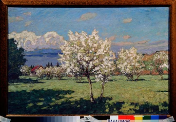 Třešňové květy. Obraz Pyotr Ivanovič Petrovičev (Pyotr Petrovičev) (1874-1947), olej na plátně