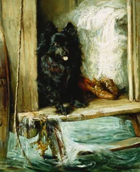 Ponechán na stráži - černý pomeranian na schodech koupacího vozu