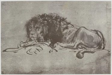 Rembrandt, Lev