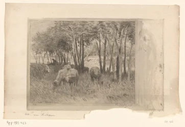 Stádo ovcí a pastýř na louce se stromy Moutons (původní název)
