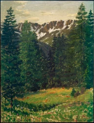 Lesní krajina, (krajina)