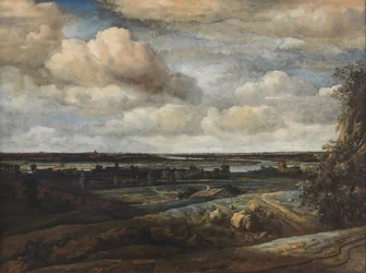 Nizozemská panoramatická krajina s výhledem do dálky na Haarlem