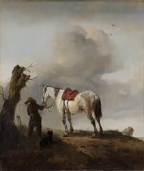 Šedý kůň, kolem roku 1646