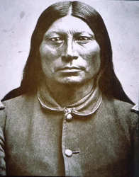 „Sharp Nose“ (černobílá fotografie)