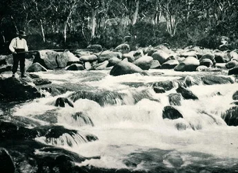 Pstruhové peřeje v Snowy River, Jindabyne, Nový Jižní Wales, kolem roku 1900, z „Under the Southern Cross - Glimpses of Australia“, vydaného Ministerstvem zahraničních věcí, Melbourne