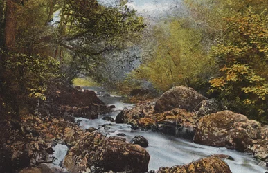 Irsko: V Dargle, hrabství Wicklow (barevné foto)
