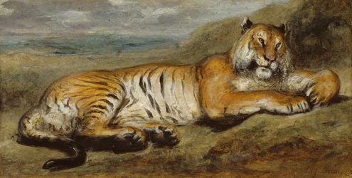 Tiger odpočívá, c. 1830.