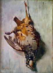 Koroptev červená
