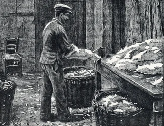 Kůže: štípání králičích kůží na kůži Rytina z „Excursion a travers les metiers“ od Pierre Calmette Private Collection