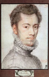 Portrét Etienna Dumoustiera, c1570