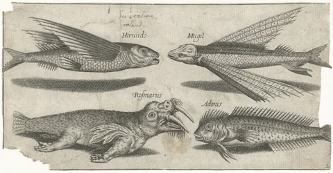 Létající chrochtání, hrudka, blenny a mrož Rybaření (název seriálu) Ikony Piscivm vivae (název série)