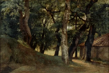Les vily Borghese, konec 18. až 19. století