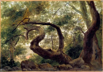 Pod dřevem stromy s kroutícími se větvemi Malba Pierra H. de Valenciennese (1750-1850) 19. století Slunce. 0,33 x 0,47 m