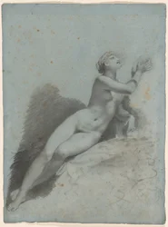 Venuše
