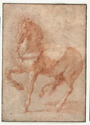Studie Bucefala pro reliéf "Alexandr a Diogenes"