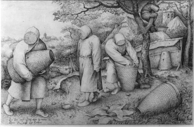 Včelaři, „Když víš, kde je poklad, můžeš ho ukrást“, kolem 1567-68