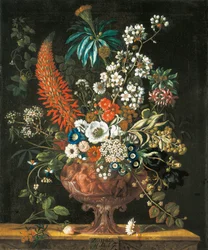prosince, z Dvanáct měsíců květin, květinový kalendář zátiší, 1730