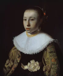 Portrét mladé dívky, 163335.