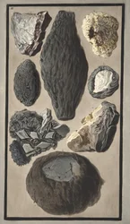 Vzorky vulkanické hmoty, z „Campi Phlegraei: Pozorování sopek na dvou Sicíliích“, od Sira Williama Hamiltona (1730-1803), vydáno 1776 (ručně kolorovaná rytina)