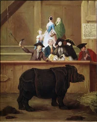 Nosorožec: výstava Clary, indického nosorožce. 1751. Benátské muzeum 18. století. Ca