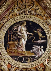 Alegorické znázornění Venuše (Fresco