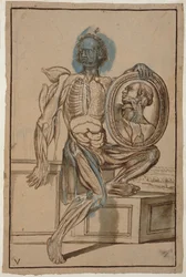 Ms Hunter 653 Plate V Anatomical Drawing, c.1610 (tužka a křída na papíře)