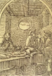 Podávání léčivých bylin, 1534