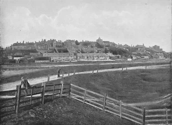Žito: Ze stavidla, c1896