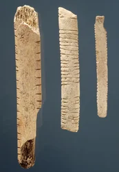 Tři zdobené kosti (kost)