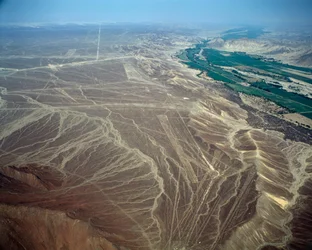 Letecký pohled na čáry Nazca představující ptačí postavu (fotografie