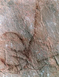 Postava "antilopy", skalní malba, paleolit (asi 40000-12000 př. n. l.) (foto)