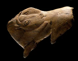 Bison vstává (Socha ze sobího dřeva z úkrytu Madeleine v Dordogne. 11000 př.nl)