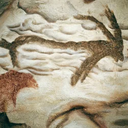 Cervidská skalní malba, Cave de Lascaux, Dordogne, Francie, svrchní paleolit (magdalénien) c. Před 13 000 lety (malba)