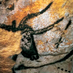 Nástěnná malba zobrazující pratura (vyhynulého tura), Síň býků, jeskyně Lascaux, Montignac, Dordogne, Francie, paleolitické magdalénien (malba)