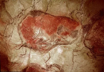 Pravěk: „“bizon v klidu““ skalní malba svrchního paleoloitu (magdalénien) (mezi 16500 a 14000 lety) Jeskyně bizonů doby kamenné, Altamira, Santander, Španělsko – Pravěk: bizon v klidu. skalní malba, svrchní paleolit (magdalénien) (mezi 1